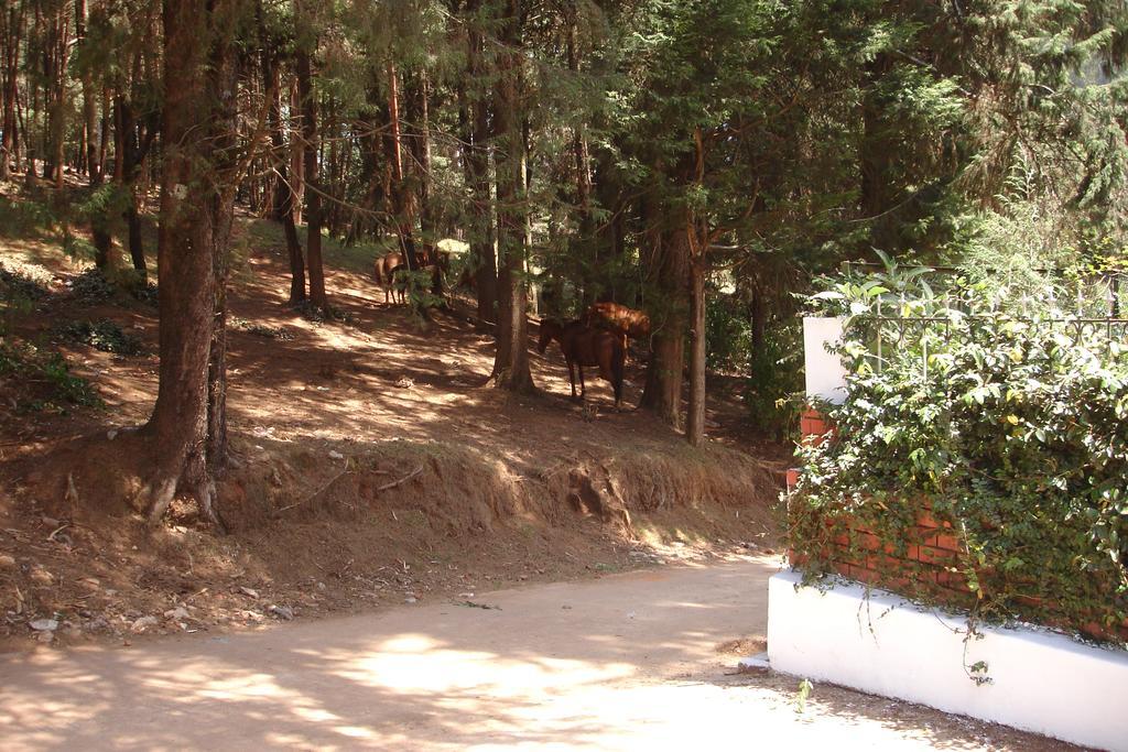 Bed and Breakfast The Red House Уті Екстер'єр фото